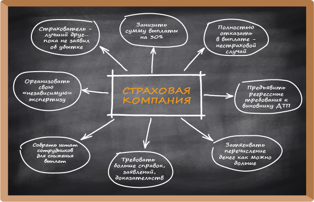 Как действует страховая компания
